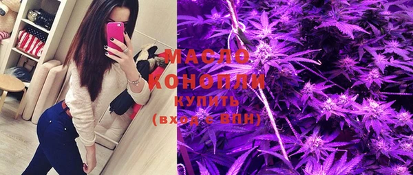 Альфа ПВП Бородино