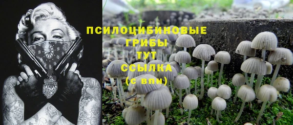 Альфа ПВП Бородино