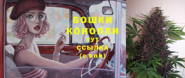 Альфа ПВП Бородино